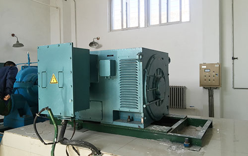 毛嘴镇某水电站工程主水泵使用我公司高压电机
